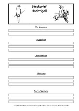 Steckbriefvorlage-Nachtigall.pdf